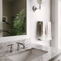 Our marble bathroom with a plant makes it fun!