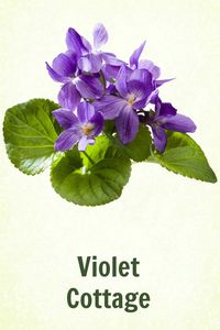 Violet