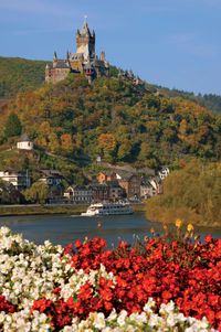 Along the Rhine River, Germany. http://www.gct.com/Trips/2012/Romance-of-the-Rhine-and-Mosel-2012.aspx #Rhine #Germany #Castle