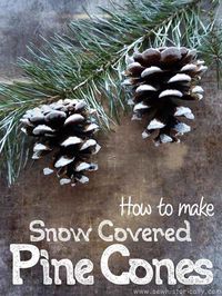 How To Make Snow Covered Pine Cones - Sew Historically