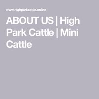 ABOUT US | High Park Cattle | Mini Cattle