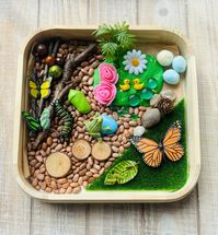 Butterfly Life Cycle Sensory Kit🦋 The kit includes: - Our magic box turning into a play and storage box - Life cycle of a butterfly figures: butterflys,cocoon, caterpillar, and hatching eggs - One ball of handmade non-toxic Play-Doh - About one cup of natural beans - Frog - Woods, rocks, and team as shown *Wooden bin not included Discover the magic of butterflies with our delightful Butterfly Life Cycle Sensory Kit! Perfect for little hands and curious minds, this kit lets children immerse themselves in the enchanting journey from egg to butterfly.  Engage in playful learning as you explore each stage of the butterfly's life. Touch and feel the different textures, see the vibrant colors, and imagine the fluttering of wings. Our kit makes science fun and brings the wonders of nature right