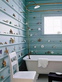 What to Do with All Those Shells You Collect - Tropical Bathroom Design, Pictures, Remodel, Decor and Ideas - page 7