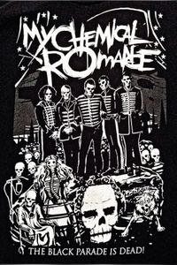 I don’t fuckin know #mychemicalromance #mcr #band #poster #silly