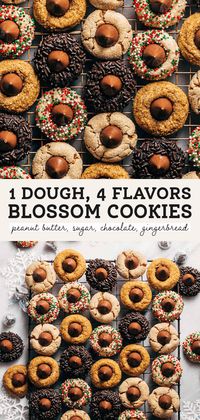 One dough is used to make four blossom cookie flavors! Classic peanut butter, gingerbread, dark chocolate, and sugar cookie. It's the perfect recipe for a cookie exchange or Christmas cookie boxes! #blossomcookies #christmascookies #kisscookies #butternutbakery | butternutbakeryblog.com