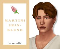 I like to keep everyone’s needs in mind, regardless of how big or small the change to Sims the custom content might bring, which is why we need options for when the ones that are available in the base game aren’t cutting it.  Martini Skin Blend is what I think to be the perfect skin tone for a Sim that reigns from The Mediterranean.