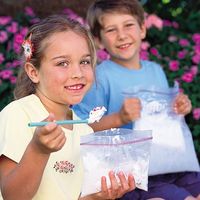 Just like back at girls camp!  Ice Cream in a Bag This is SOOO easy… and delicious! In a small Ziplock bag, put: 1/2 C. half and half (milk works too) 1 Tbps. sugar 1 tsp. vanilla Insert that bag into a larger, one gallon Ziplock filled with ice and salt. Shake the bag for five minutes. Kids love that part! Then, remove the smaller bag which should have turned into ice cream.