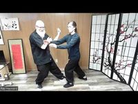 Prof Cheng's 4 directions pushing hands method, part 1 - YouTube