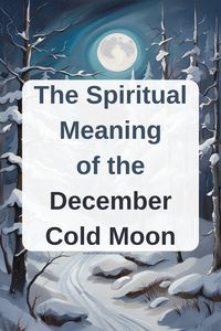 The Spiritual Meaning of the December Cold Moon — Amanda Linette Meder