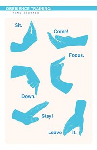 DOWNLOADABLE Obedience Training Hand Signal Poster - Etsy