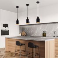 About this item 1. Well Made Industrial Style: Industrial pendant light featuring unique light shade in black finish, provide a perfect indoor decoration for you.QUALITY MATERIALS: High-gauge metal wi...