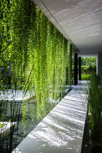 Me encanta la idea de jardín de este Spa. Parece que las plantas lluevan.