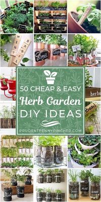 50 Cheap and Easy Herb Garden DIY Ideas