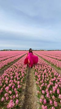 Experience the enchantment of Keukenhof Gardens in Holland! From March 21 to May 12, immerse yourself in a breathtaking display of vibrant blooms. Just a short journey from Amsterdam, this floral paradise promises a magical day out. Book your tickets early to skip the lines and wander through acres of stunning flowers. Don't miss this opportunity to witness nature's beauty at its finest!