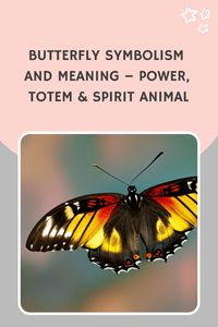 Butterflies have always been a source of fascination and wonder. They are beautiful creatures that flutter around in a seemingly carefree way. Many people don’t know that butterflies have deep symbolism and meaning. Each time you see a butterfly, it delivers a message to you. In this blog post, we will explore the significance of butterfly symbolism. We will look at what it means when a butterfly lands on you or flutters around you, and what the butterfly’s message might be for you. So if you’r