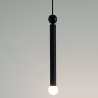 The Constellation Pendant is inspired by the stars of the night sky. The metal sphere at the at the top of the pendant has a cylindrical wood branch that is capped by a single glass orb that casts a warm glow of light across your room.<BR><BR><B>Note: </B>Canopy is White.