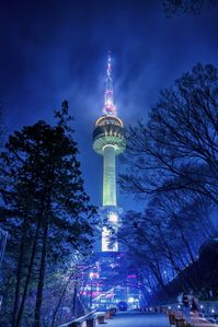 Namsan Seoul Tower (남산서울타워)