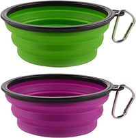 Pet Supplies : Large Collapsible Dog Bowls, 34oz Portable Foldable Travel Water Bowl Food Dishes with Carabiner Clip for Traveling, Hiking, Walking, 2 Pack ( Purple+Green ) : Amazon.com