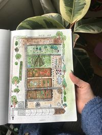 Allotment plot layout plan for 2019 Watercolour illustration