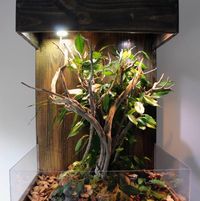 Selvarium