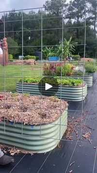 115K views · 409 reactions | Did you know you could DIY a trellis onto your beds? 😮 Here’s how! 🌻#trellis #gardening #vegogarden | Garden Hack | Garden Hack · Original audio