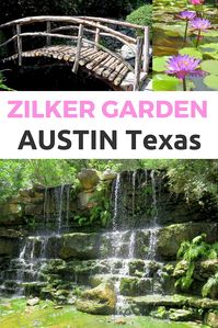 Waterfall, fairytale bridge, lotus flowers at the botanical garden in Zilker Botanical Garden in central Austin Texas USA #gardens #botanical  #austin #texas #waterfall #lotus #flowers