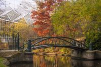 Hortus Botanicus Amsterdam