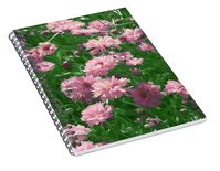 Blooming Pink Pinks #1 Spiral Notebook by Ira Niva - Ira Niva - Website