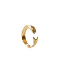 Anchovy Ring - Bona Calvi Miniature