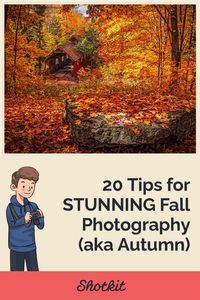 Looking to take some great photos this Fall (Autumn)? Don’t miss this guide which reveals 20 tips used by the pros to get the best images among the leaves.