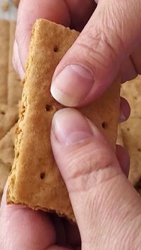 These homemade gluten free graham crackers are easy to make and far superior to store bought. Perfect for s'mores or graham cracker crusts!