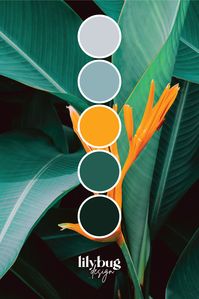 Bird of Paradise Color Palette by Lilybug Design