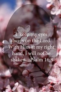 Psalm 16:8