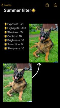 ☀️#filters #photoeditingtutorial #edit #germanshepherd