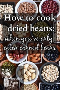 How to cook dried beans, when you’ve only eaten canned beans |