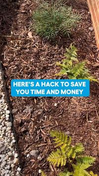 Before you stock up on mulch, check out this $ saving hack 