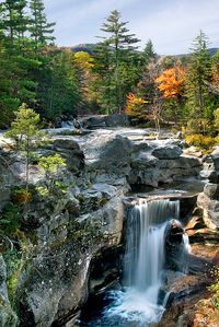 Grafton Notch State Park in Maine located along the Appalachian Trail features pristine water falls & springs, hiking, picnic tables, even a snowmobile trail.