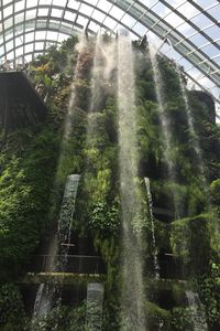 Cloud Forest Dome - Singapore