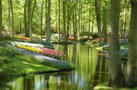 Keukenhof Gardens - Netherland