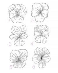 15 How to Draw Flowers Step-by-Step Tutorials - Beautiful Dawn Designs