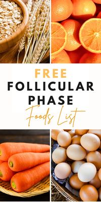 Discover the ultimate follicular phase food list to boost your energy and well-being with our guide to cycle syncing. Explore the best follicular phase foods and get inspired by delicious follicular phase meal ideas. Learn how to nourish your body with fresh, nutrient-dense options that support your natural rhythm and enhance your cycle syncing during this vital phase.