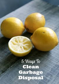 Best garbage disposal cleaner and 5 things tips to help with maintanence.