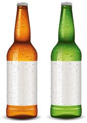 Beer bottle blank package design