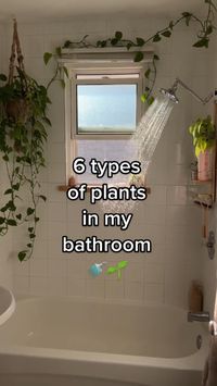 Adding plants to your bathroom not only brings a touch of nature but also improves air quality and creates a soothing oasis. 🌿🚿 Video by @nataliedoef