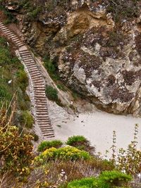 Point Lobos State Reserve, Carmel, CA: trail to hidden beach