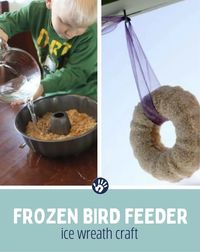 Frozen Bird Feeder Craft for Kids That's a Cool Ice Wreath