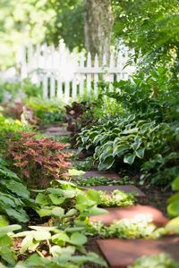 20 Shade Garden Design Ideas for Adding Color Anywhere