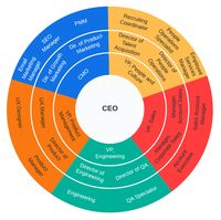 Why You Should Use Circular Org Charts and How | Lucidchart Blog