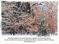 A snowy scene of wild trees with a bible verse from 2 Corinthians 13:11 for a peace and comfort. #bible #bibleverse #Scripture #faith #hope #snow #peace