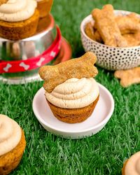 Pupcakes Dog Cupcakes